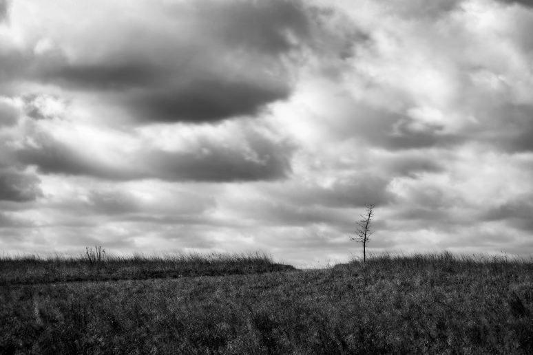 Prairie Clouds