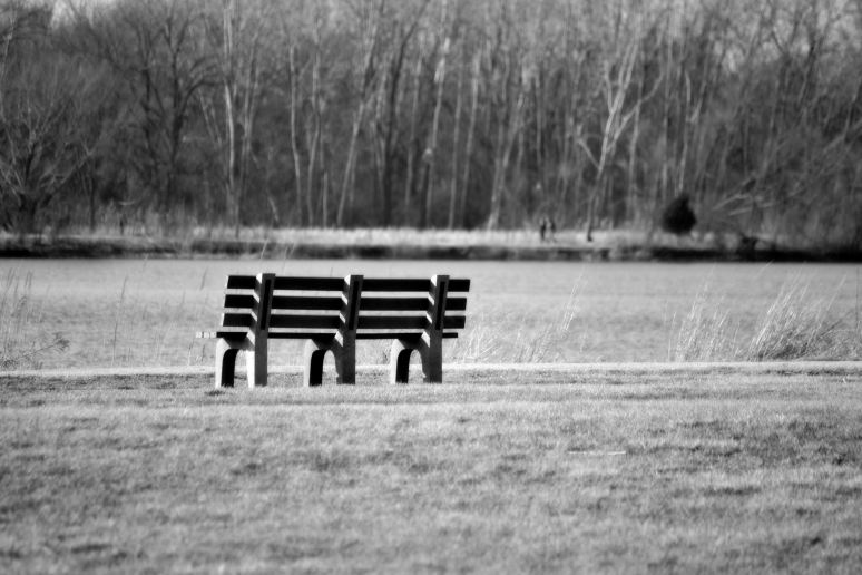 Ode to the Bench